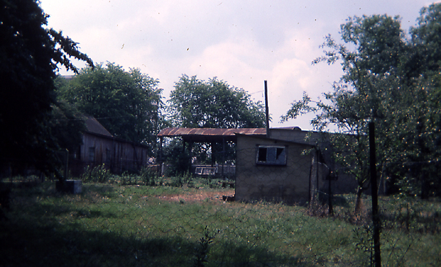 The farm