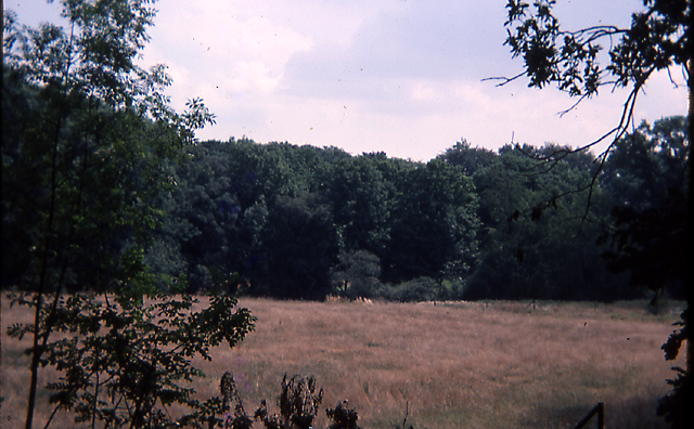 The tennis courts